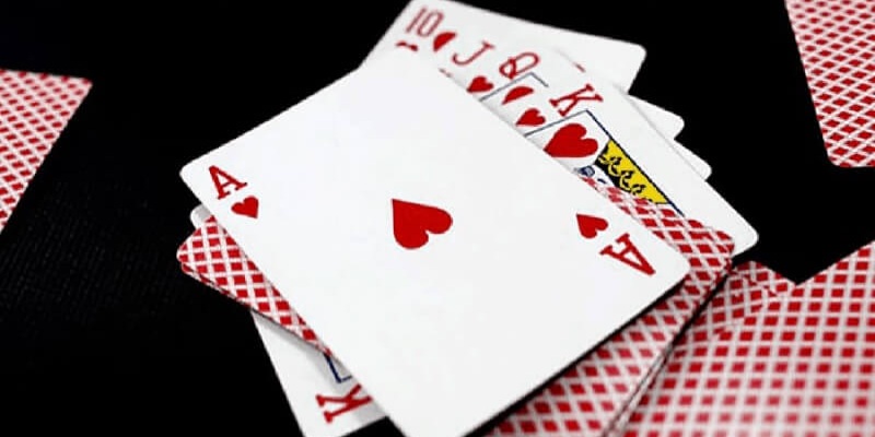 Live Casino New88