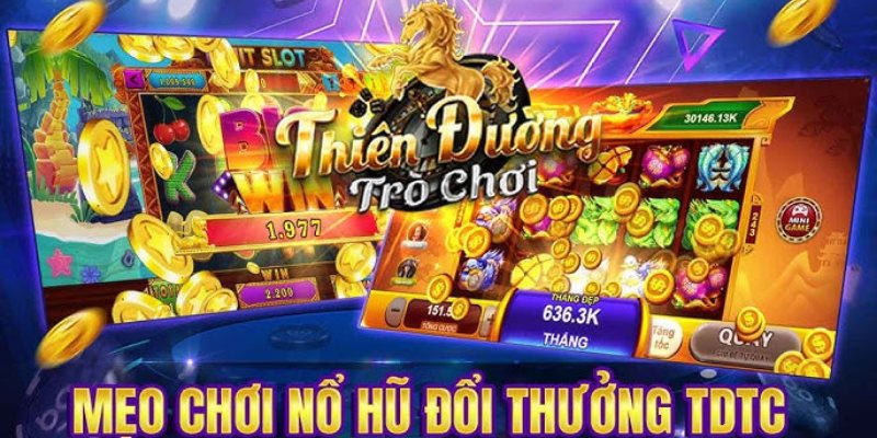 Wild Đạo Tặc